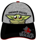 Star Wars The Mandalorian The Child Unknown Species Baseball Hat