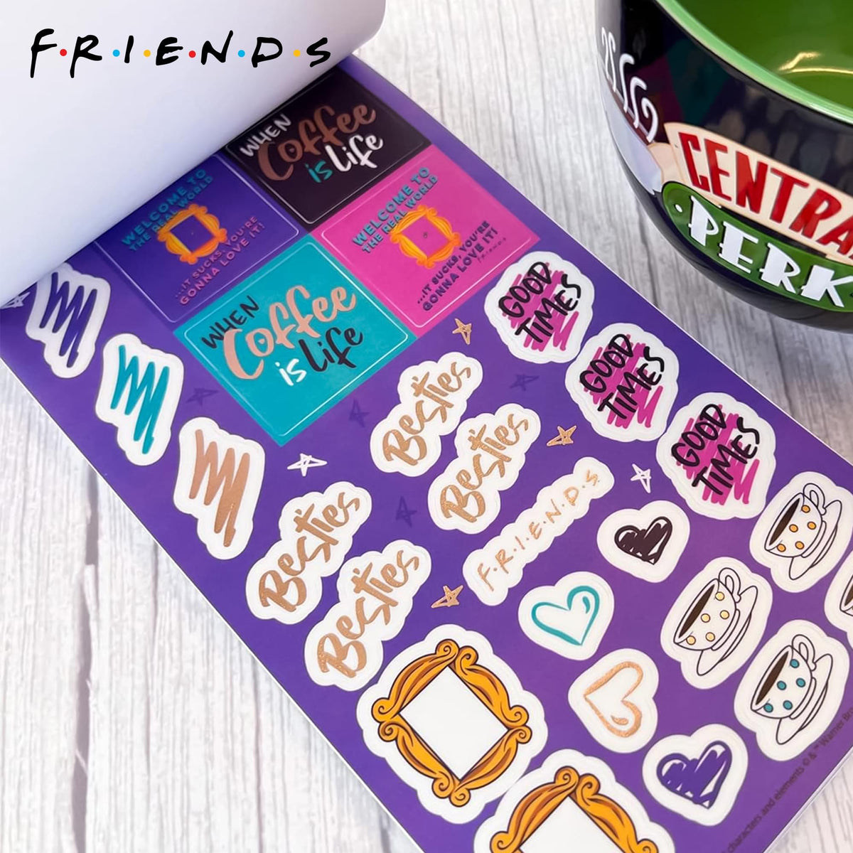 Friends Planner 30-Page Sticker Book | 1000+ Stickers