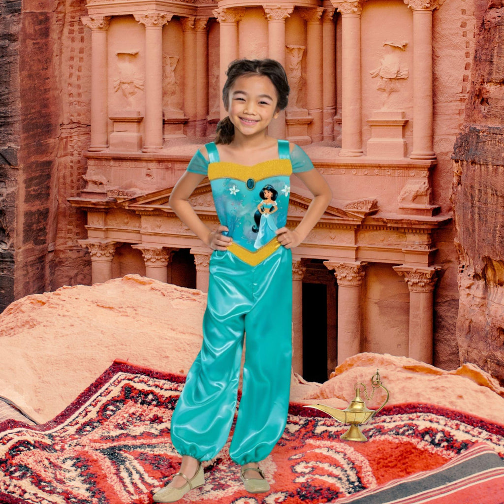 Disney Aladdin Jasmine Basic Plus Child Costume