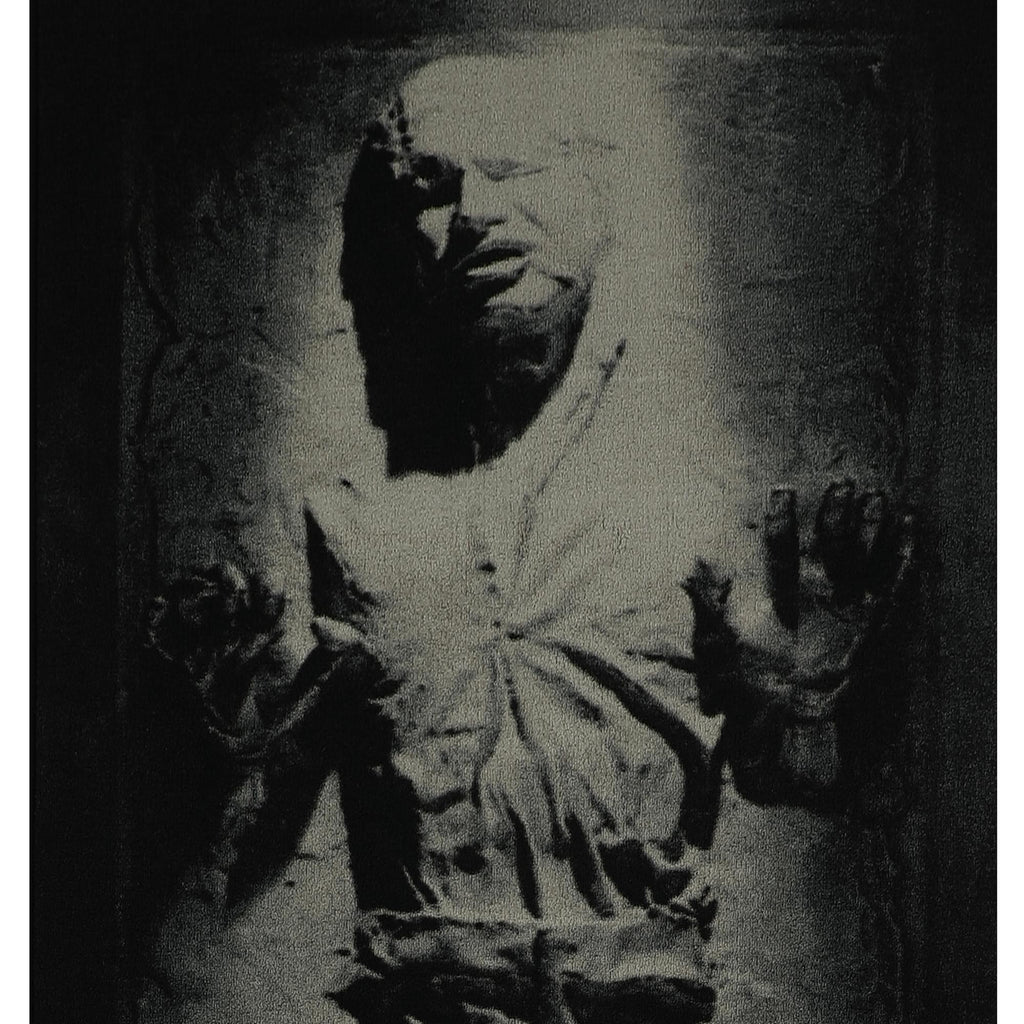 Star Wars Han Solo in Carbonite Small Area Rug | 32 x 72 Inches