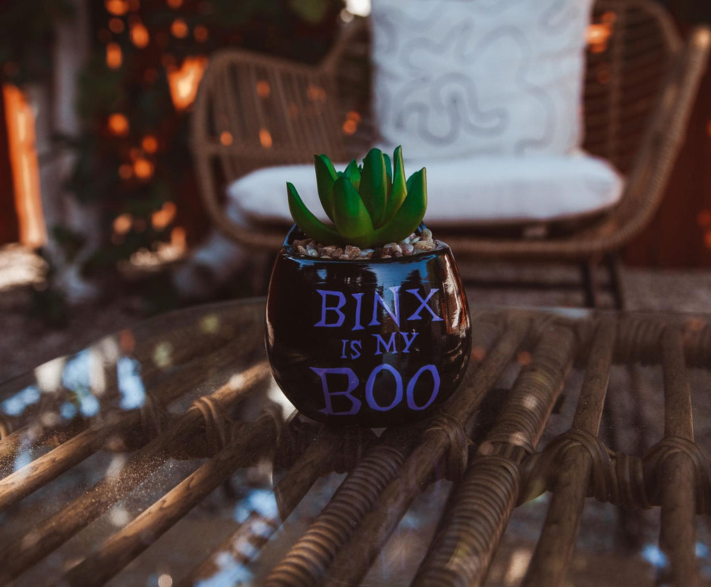 Disney Hocus Pocus "Binx Is My Boo" Ceramic Planter with Artificial Succulent