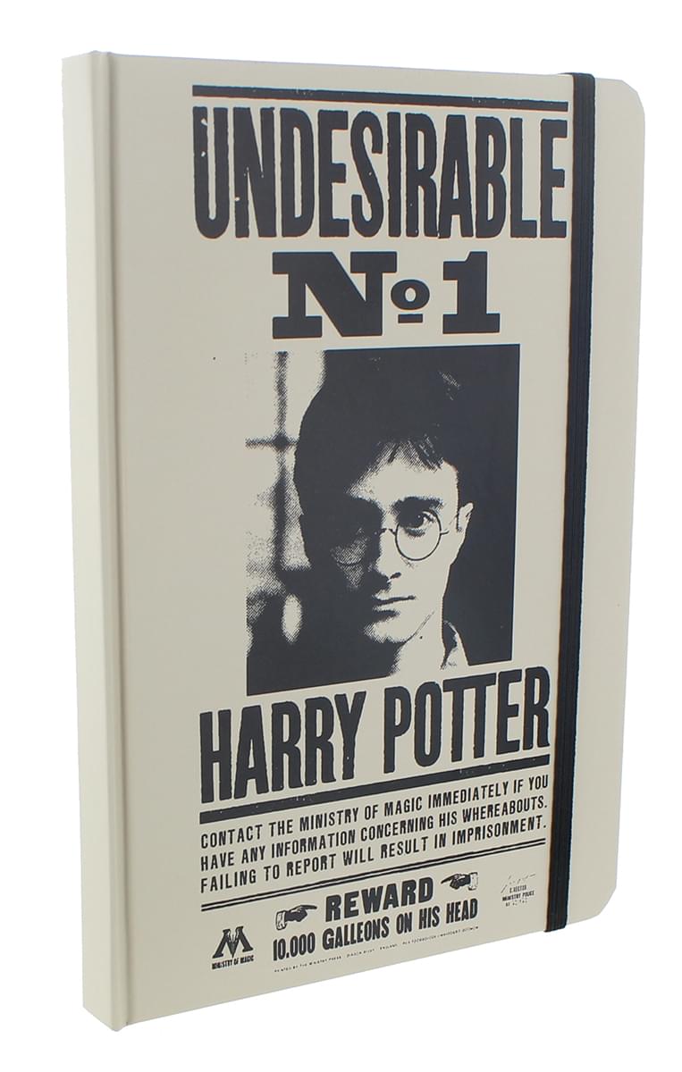 Harry Potter Collectibles | LookSee Collectors Box